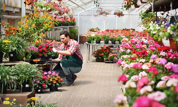 Gärtnerei & Florist